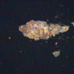 Figure 3. Optical microscope image of the dark speck as mounted on the glass slide.